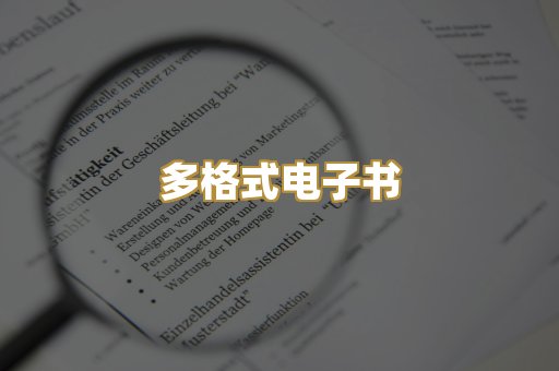 多格式电子书